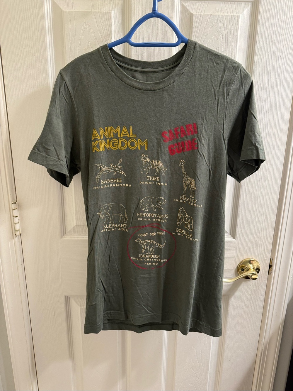 Disney’s Animal Kingdom Safari Guide Graphic Tee